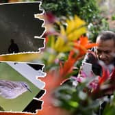 There are apps for IDing plants, birdsong, and even star constellations