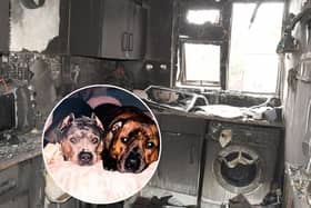 Couple and their dogs killed in horrifying e-bike battery fire at home