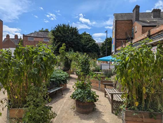 Derby's Electric Daisy is set to appear on the hit BBC show Gardeners’ World.