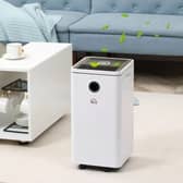 A dehumidifier is a great addition to your home
