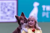 Lucy Heath with Stillmoor Star Turn, Competing at the Heelwork to Music Competition, today (Thursday 06/03/25), on the first day of Crufts 2025.Please credit: BeatMedia / The Royal Kennel Club