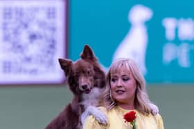 Lucy Heath with Stillmoor Star Turn, Competing at the Heelwork to Music Competition, today (Thursday 06/03/25), on the first day of Crufts 2025.Please credit: BeatMedia / The Royal Kennel Club