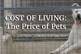 Price of Pets thumbnail image