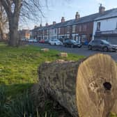 Rocks and tree branches can be seen along Mansfield Road, Derby.