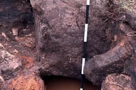 A stone sitting above a natural spring is part of the Time Team's discovery in a Derbyshire forest, where stones dating back to the Bronze Age have been discovered