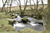 Longshaw in the Peak District has been named one of the top days out this year. Run by The National Trust, people can enjoy a gentle stroll through ancient woodland and enjoy spectacular views across Derbyshire.