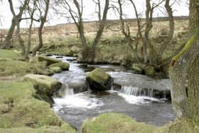 Longshaw in the Peak District has been named one of the top days out for Easter this year. Run by The National Trust, people can enjoy a gentle stroll through ancient woodland and enjoy spectacular views across Derbyshire.