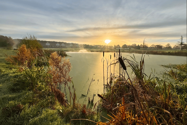 The stunning grounds at Carden Park