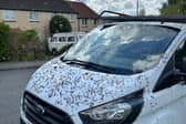 Pictures shows the swarm of bees on a van in Heeley, Sheffield. Photo: Errol Edwards