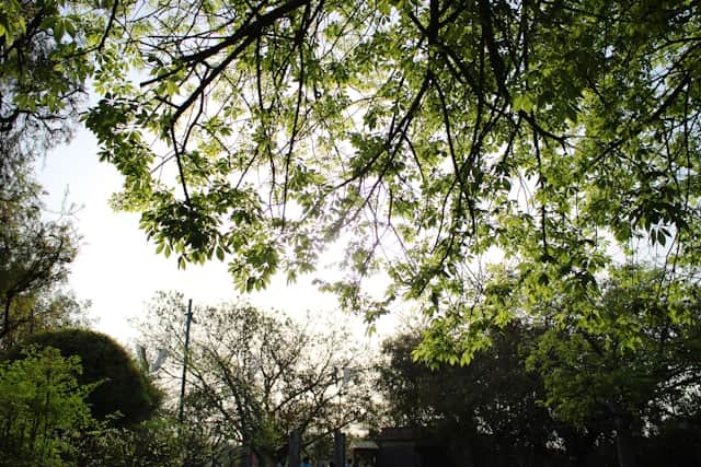 Derby can expect warm and clement weather this week, with Thursday expected to be a warm start to May when temperatures will peak at 26°