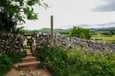 The Tissington Trail has been named as one of the most beautiful bike trails to explore this summer.