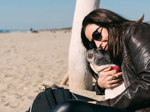 An extensive study evaluated various dog breeds based on six crucial factors for snuggling.