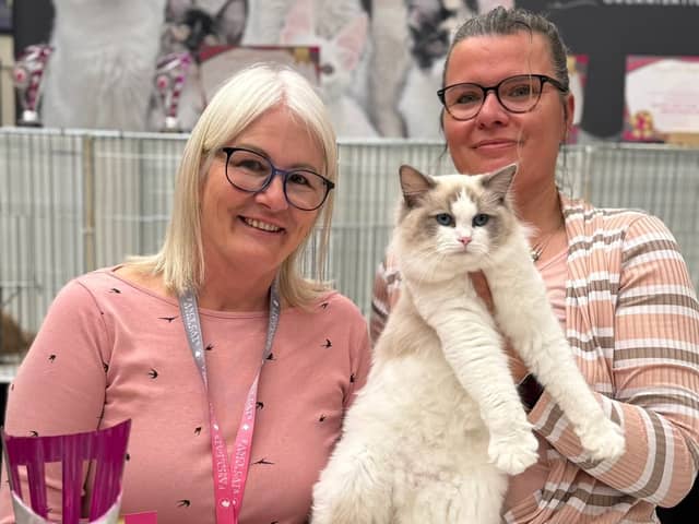 Show winning cat, Ellie is crowned with 'Best in Show' Award at the national cat 'beauty' competition. Here is fluffy Ellie with owner Mandy Hipkins (L) and International judge Marianne Hoogendoorn from the Netherlands (R).