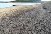 The region is officially in drought but a hosepipe ban is currently not being considered 