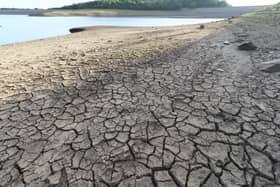 The region is officially in drought but a hosepipe ban is currently not being considered 