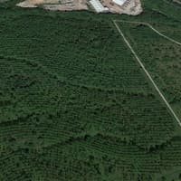 'Shame on you. Build one behind where your children live': Outcry over battery farm 40 minutes from Derby