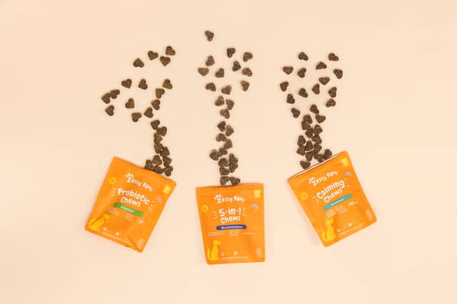 Probiotic supplements can work wonders for your pet's gut health - and help with various ailments