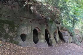 Building plans from an energy company could see a 120-acre solar farm built on agricultural fields near ancient woodland.