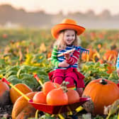 Where in the UK should you be visiting to get the cream of the pumpkin crop ahead of Halloween 2025?