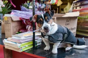 Horncastle has been named among the best towns in the country by The Telegraph. The historic market town was rated for its antique shops, in particular the three-storey Horncastle Antiques Centre.