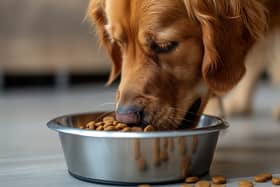Keeping your pet's food cupboard stocked up has never been easier