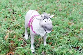 Police officers called to reports of an abandoned "bully type dog" were left baffled after they discovered the dog was a toy from Disney blockbuster Frozen instead