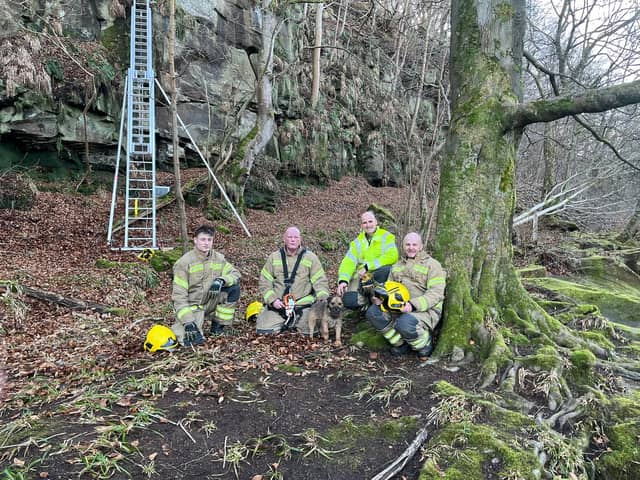 Watch the moment a stranded dog gets rescued from a cliff