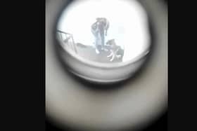 Distressing video shows a Husky being abused by two men, which has led to both receiving a lifetime ban on keeping dogs by the RSPCA.