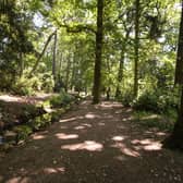Enjoy a tranquil walk along a woodland path beside a stream or across open parkland on the castle's 321-acre estate. Photo by Shutterstock/Simon Annable.