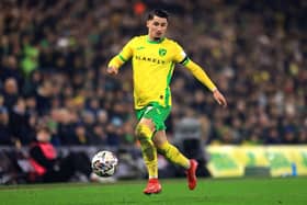 Norwich City's Borja Sainz has been rated as the Championship's best player this season by the whoscored.com website