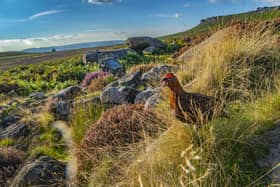 11 atmospheric viewpoints in Derbyshire that show off the wild beauty of this underrated county