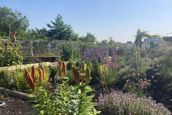 Derventio Housing Trust's Growing Lives project in Ilkeston