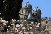 Buxton in full bloom is a sight to behold.  The spa town is one of 105 Derbyshire places to visit this year.