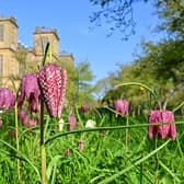 One way to enjoy the picturesque Peak District is to indulge in a picnic in the great outdoors. 