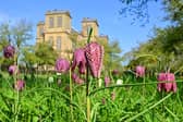 One way to enjoy the picturesque Peak District is to indulge in a picnic in the great outdoors. 