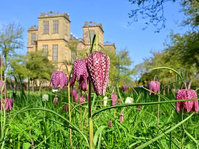One way to enjoy the picturesque Peak District is to indulge in a picnic in the great outdoors. 
