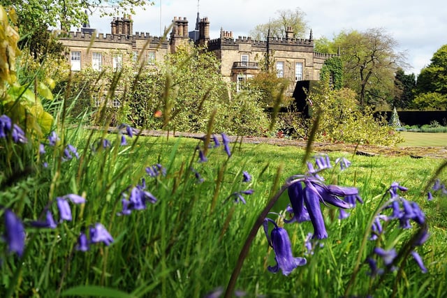 Christine Sanderson said: “Festive afternoon tea at Renishaw Hall and Gardens.”