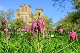 12 sunny day picnic spots in Derbyshire and the Peak District perfect for the spring heatwave 2025
