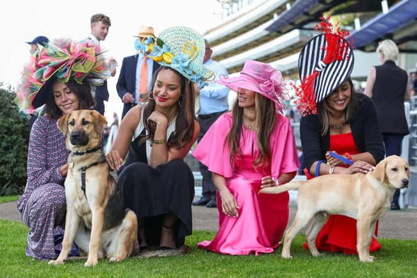 Guide dog puppies interact with racegoers wearing big hats at Ascot Racecourse, as part of their socialisation training to become comfortable around unusual headwear. Research from charity Guide Dogs reveals that dogs can be afraid of hats or objects on people’s heads, as they can make it harder for them to recognise even familiar individuals