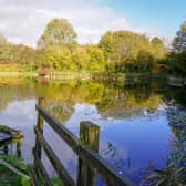 The 19 best-rated parks in Derbyshire with lakes, wildlife and beautiful walking paths for summer days