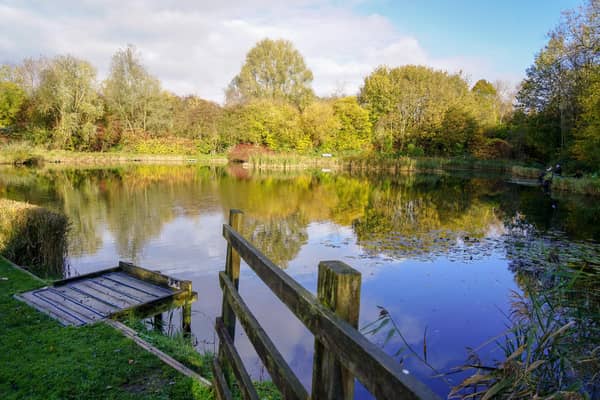 The 19 best-rated parks in Derbyshire with lakes, wildlife and beautiful walking paths for summer days