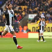 Jeff Hendrick celebrates scoring for Newcastle United
