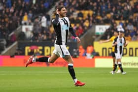 Jeff Hendrick celebrates scoring for Newcastle United
