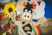National Forest Adventure Farm's Crumpet the Cow