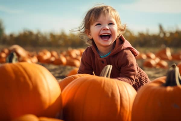 Mr Pumpkin at Lime Farm in Derby has been named among top pumpkin farms in the country. It is open on selected dates between October 1 to 31.