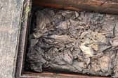 Wet wipes in drain