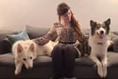 Poppy with Avery and Ludo