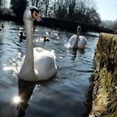 A trip to Bakewell Recreation Ground is another good option for a low-cost day out.