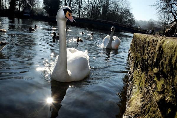 A trip to Bakewell Recreation Ground is another good option for a low-cost day out.