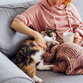 Keeping warm on the couch.